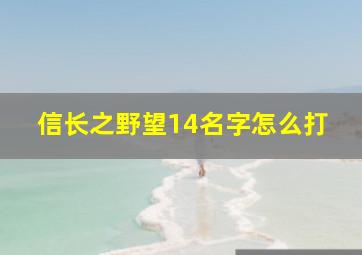 信长之野望14名字怎么打