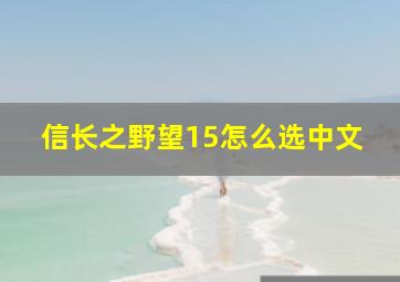 信长之野望15怎么选中文