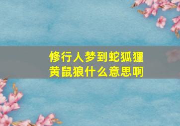 修行人梦到蛇狐狸黄鼠狼什么意思啊