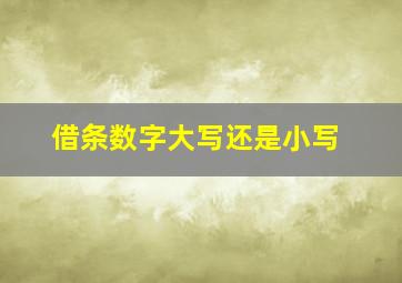 借条数字大写还是小写