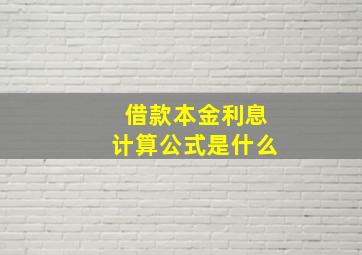 借款本金利息计算公式是什么