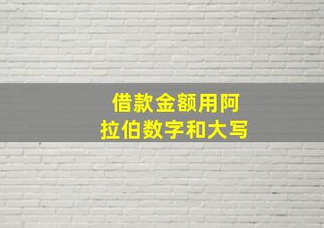 借款金额用阿拉伯数字和大写