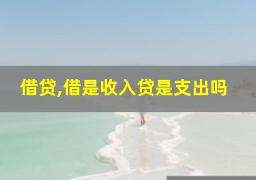 借贷,借是收入贷是支出吗