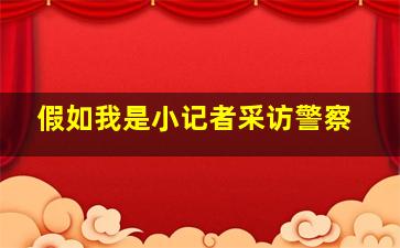 假如我是小记者采访警察