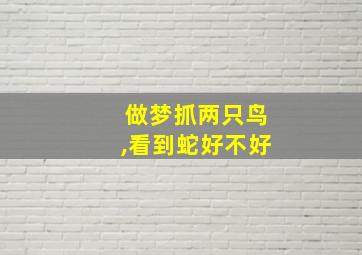 做梦抓两只鸟,看到蛇好不好