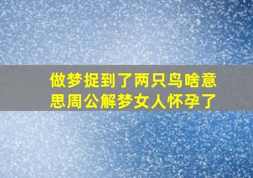 做梦捉到了两只鸟啥意思周公解梦女人怀孕了