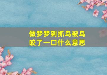 做梦梦到抓鸟被鸟咬了一口什么意思