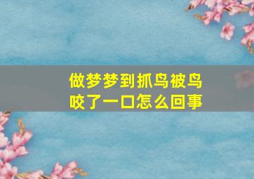 做梦梦到抓鸟被鸟咬了一口怎么回事