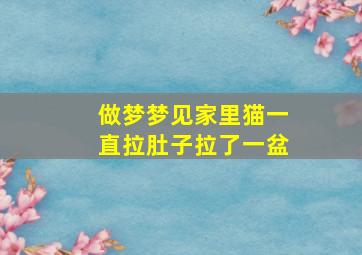 做梦梦见家里猫一直拉肚子拉了一盆