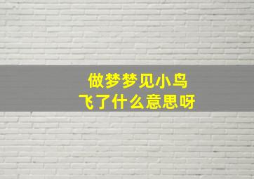 做梦梦见小鸟飞了什么意思呀