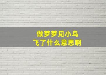 做梦梦见小鸟飞了什么意思啊