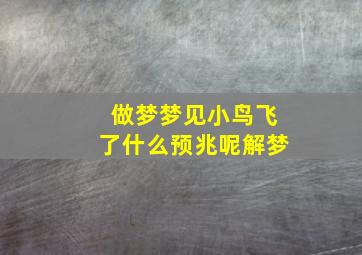 做梦梦见小鸟飞了什么预兆呢解梦