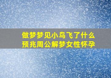 做梦梦见小鸟飞了什么预兆周公解梦女性怀孕