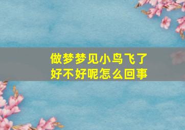 做梦梦见小鸟飞了好不好呢怎么回事