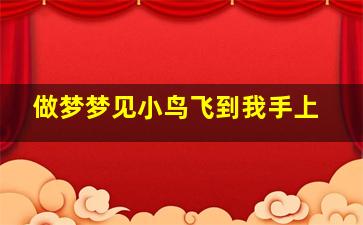 做梦梦见小鸟飞到我手上