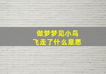 做梦梦见小鸟飞走了什么意思