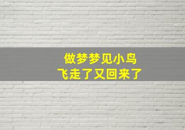 做梦梦见小鸟飞走了又回来了