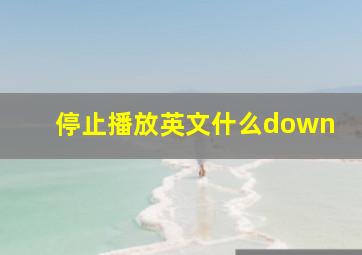 停止播放英文什么down