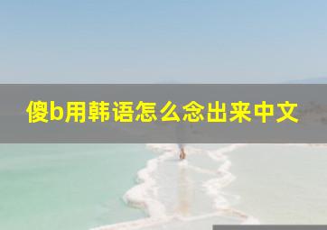 傻b用韩语怎么念出来中文