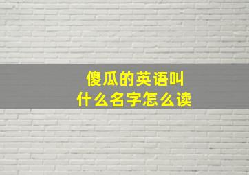 傻瓜的英语叫什么名字怎么读