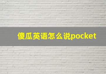 傻瓜英语怎么说pocket