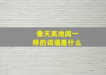 像天高地阔一样的词语是什么