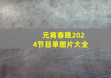 元宵春晚2024节目单图片大全