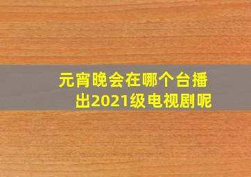 元宵晚会在哪个台播出2021级电视剧呢