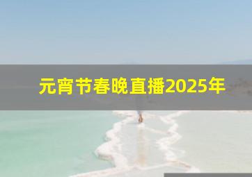 元宵节春晚直播2025年