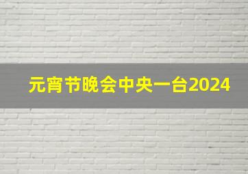 元宵节晚会中央一台2024