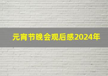 元宵节晚会观后感2024年