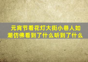 元宵节看花灯大街小巷人如潮仿佛看到了什么听到了什么