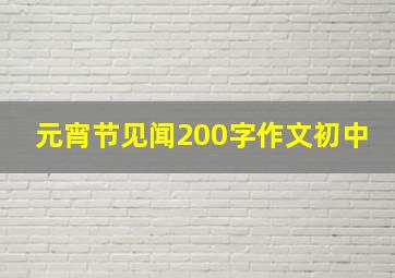 元宵节见闻200字作文初中