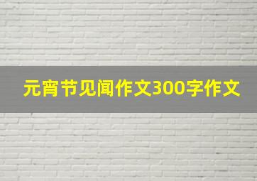 元宵节见闻作文300字作文