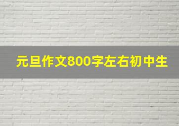 元旦作文800字左右初中生