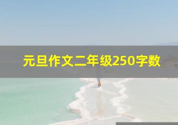 元旦作文二年级250字数