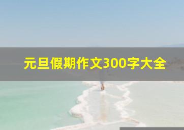 元旦假期作文300字大全