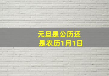 元旦是公历还是农历1月1日