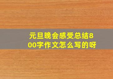 元旦晚会感受总结800字作文怎么写的呀