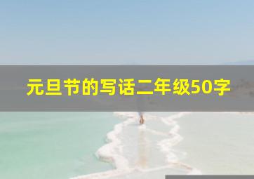 元旦节的写话二年级50字