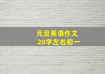 元旦英语作文20字左右初一