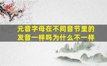 元音字母在不同音节里的发音一样吗为什么不一样