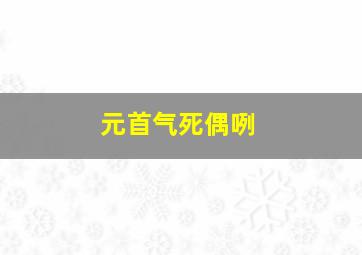 元首气死偶咧