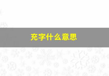 充字什么意思