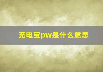 充电宝pw是什么意思