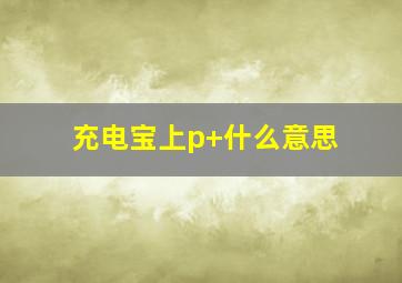 充电宝上p+什么意思