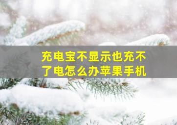 充电宝不显示也充不了电怎么办苹果手机