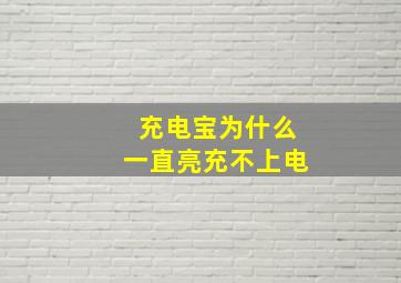 充电宝为什么一直亮充不上电