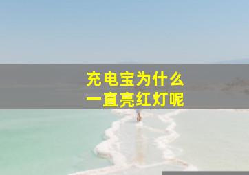 充电宝为什么一直亮红灯呢