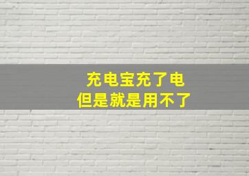 充电宝充了电但是就是用不了